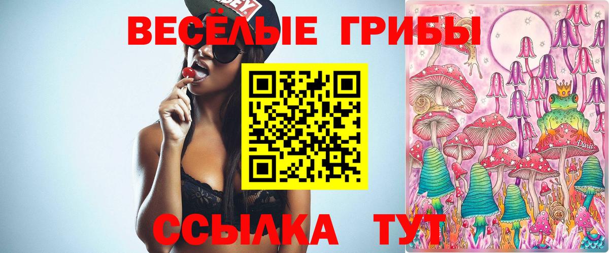 Псилоцибиновые грибы прущие грибы Арсеньев